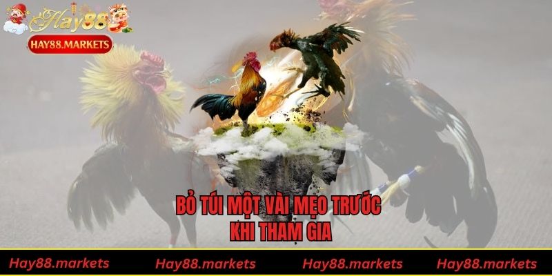 Bỏ túi một vài mẹo trước khi tham gia